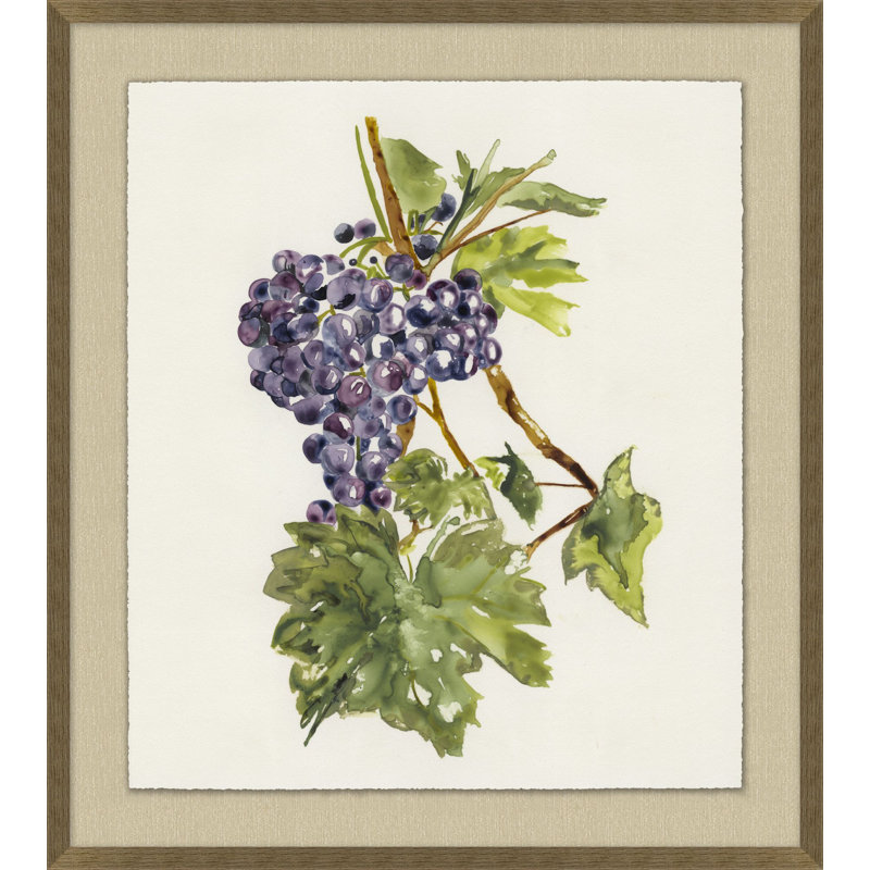 Vineyard Grapes Impression 2 Print by Nathan Turner