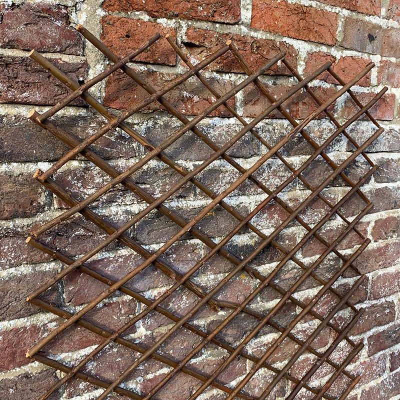 Andromede 180cm H Wood Expanding Trellis, 180" H x 60" W x 2" D