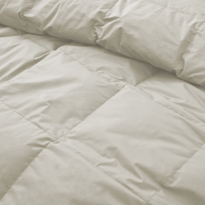 Édredon en duvet de coton biologique toutes saisons Puredown, Édredon grand, Gruau