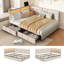 Upholstered-125537858-125537859