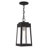 Antionetta Outdoor Hanging Lantern-448062609