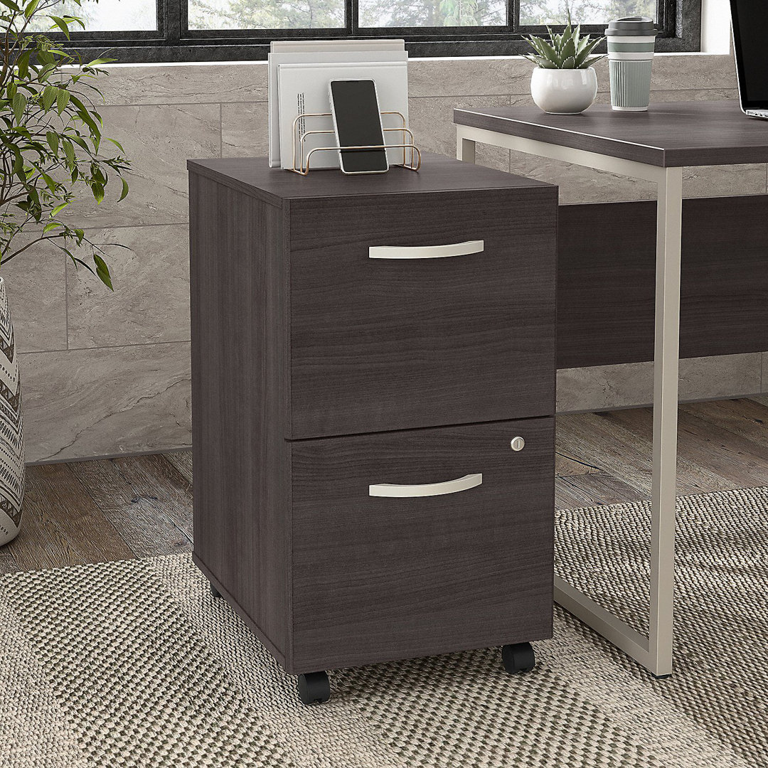 Kaneki 16'' Wide 2 -Drawer Mobile File Cabinet Inbox Zero 