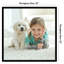 Cadre photo Americanflat - Cadre pour affiche à bordure mince avec plexiglas-101254797-101254798