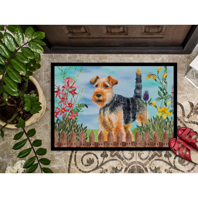 Tapis de porte d’extérieur antidérapant à ressorts terrier gallois