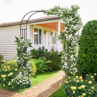 158cm W x 42cm D Metal Arbour in Black