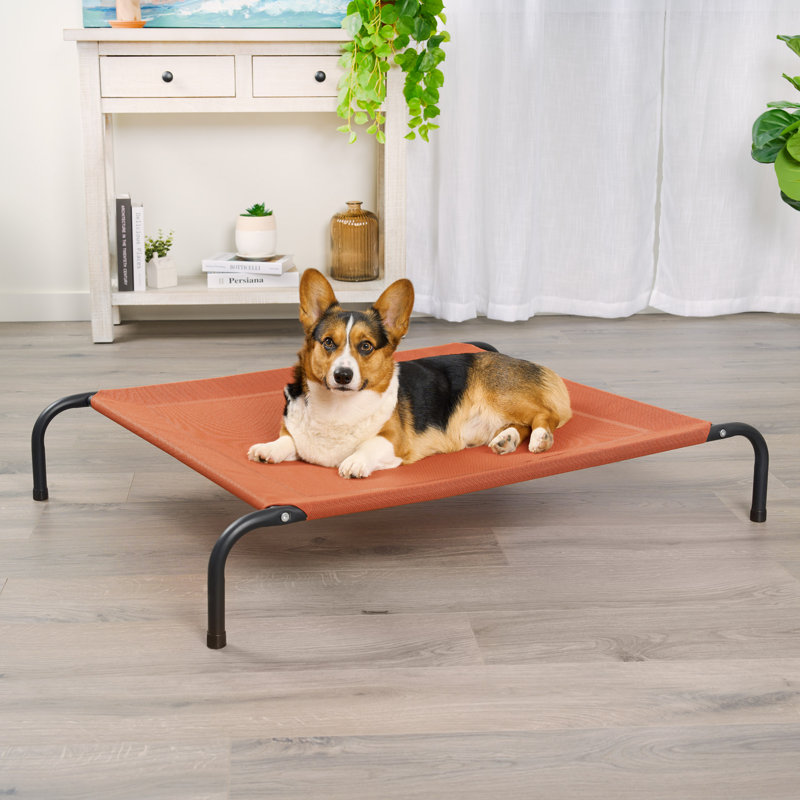 Elevated Cot Pet Bed, 8" H x 32.5" W x 44" D, Red