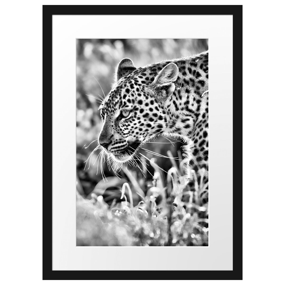 Gerahmtes Poster Jagender Leopard