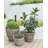 Ayriauna Handmade Pot Planter-1650182137