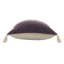 Ensemble de 2 coussins en coton Tassels-788133465