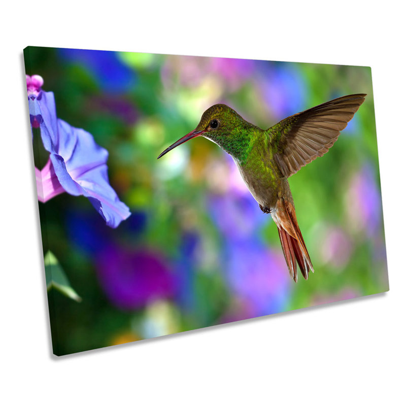Beautiful Humming Bird - Wrapped Canvas Print, 91.4cm H x 137.2cm W x 4cm D