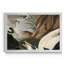 Eider Duck - Reproduction de photo sur toile-661835673-661835672