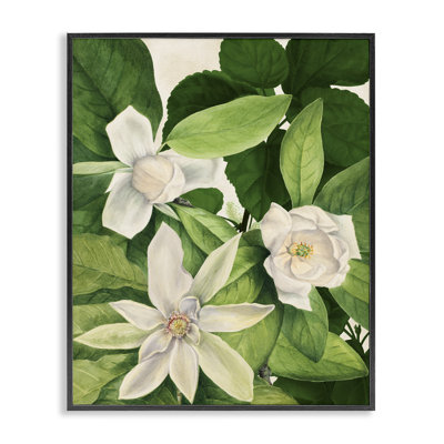 «Blooming White Tropical Flowers», art de la giclée par Susan Arnot