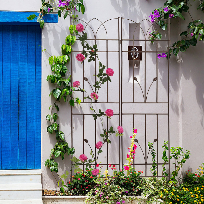 Treillis polyvalent en métal pour les plantes d'extérieur, rehaussant la beauté du jardin, Brun