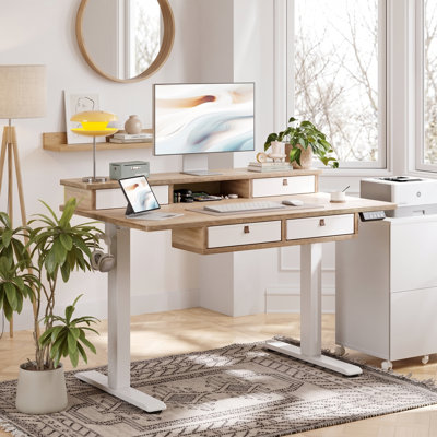 47'' Electric Height Adjustable Standing Desk with Drawers