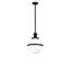 Brigands 1 - Light Pendant