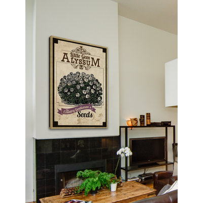 " Flower Packet Alyssum "