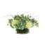 Assorted Hydrangea Floral Arrangement in Glass Pot