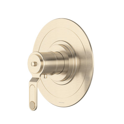Armstrong 3/4" Thermostatic Trim Without Volume Control