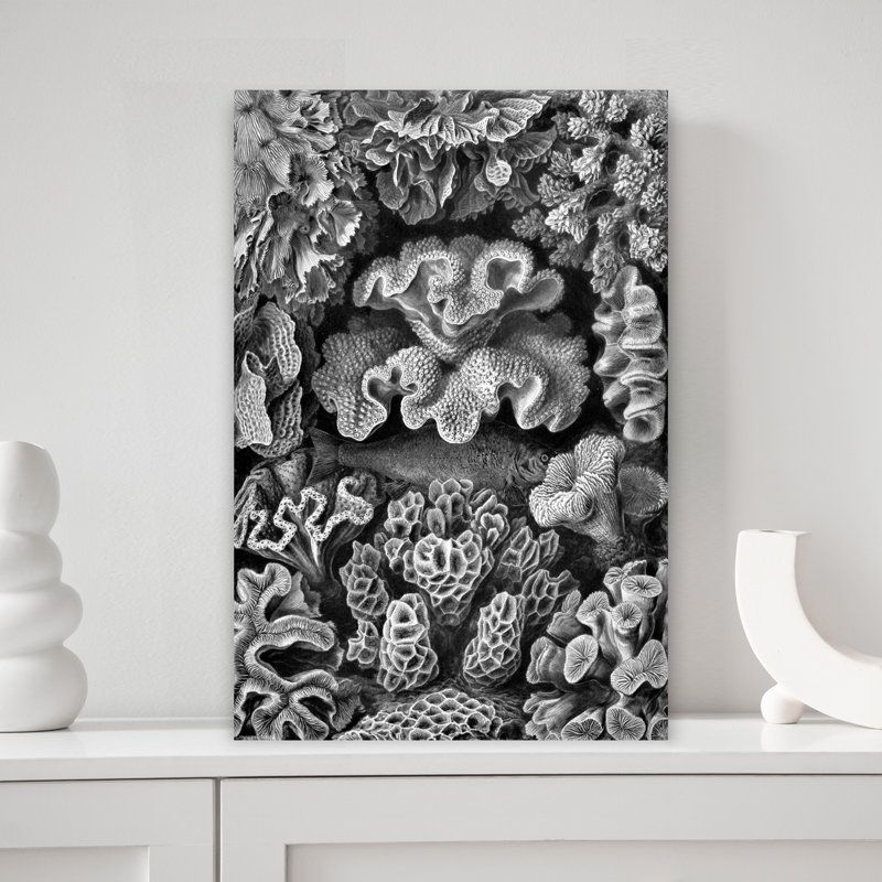 The Hidden Fish Classic Vintage Fish Wall Art, 18" H x 12" W