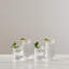 Woodstock Glass Drinking Glass-300247400
