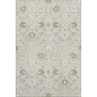 Premium Machine Washable Colmenero AMF1009 Oriental Rug