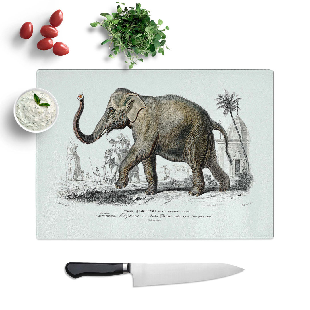 Tempered Glass Asian Elephant Chopping Board