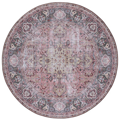 Tucson Vintage Look Machine Washable Non-Slip Area Rug in Red/Pink