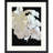 Modern Hydrangea II Framed Art