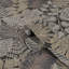 Superfresco Easy Spring 2024 Wallpaper Double Roll-1583570135