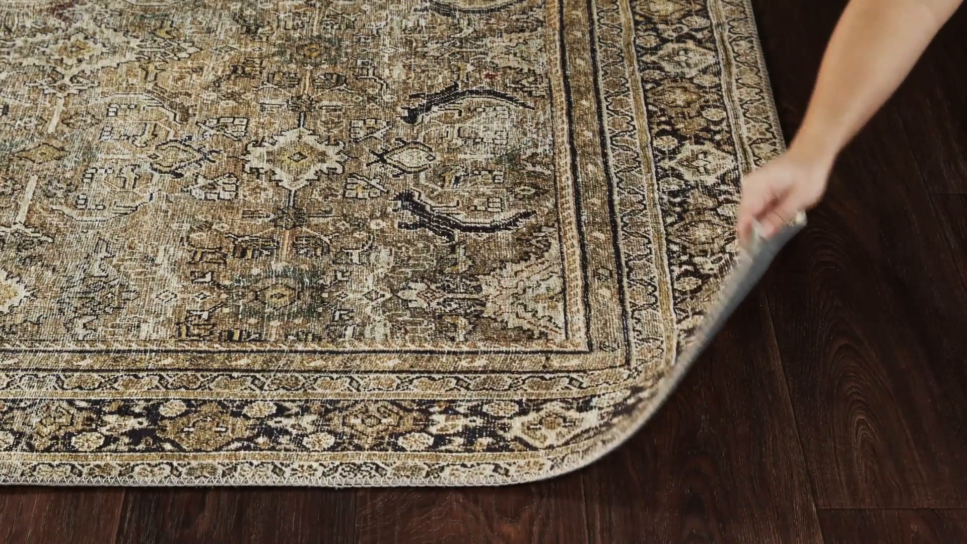 2枚セットKoji Yamaguchi Rug World Menagerie Giacinto Oriental Area Rug & Reviews - Wayfair Canada