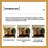 Vintage Solid Wood Vine Pattern Folding Room Divider Screen-1486699215