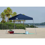 Expedition 10 Ft. W x 10 Ft. D Metal Pop-Up Canopy
