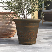 Wayfair  Extra Large Pot Planters You'll Love in 2024