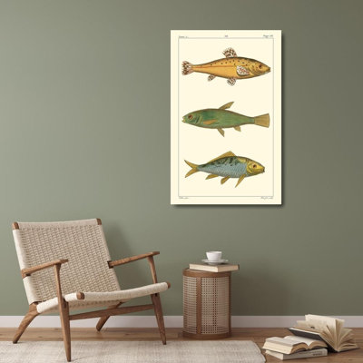 Reproduction d'art sur toile Beachcrest Home ™ Pretre Gallery, Freshwater Fish IV