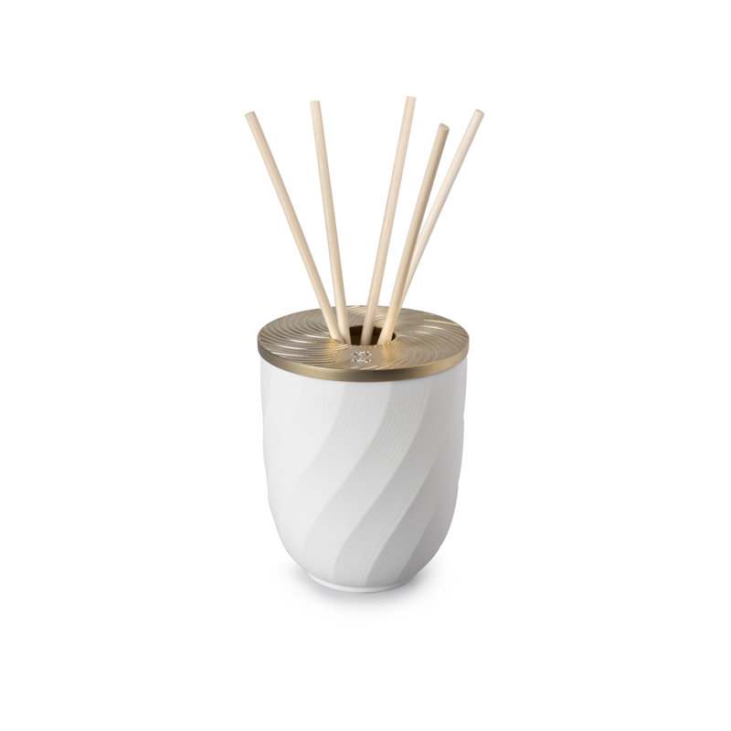 Diffuseur de roseaux Aroma