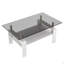 Table basse rectangulaire, plateau de table en verre trempé avec panneau de fibres à densité moyenne, table moderne pour le salon, verre gris-131642389-131642390