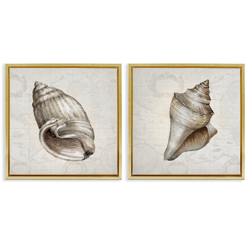 Conch, coquillages sur cartes rétro, ensemble de 2 toiles flottantes encadrées grises, H 18 po x l 18 po