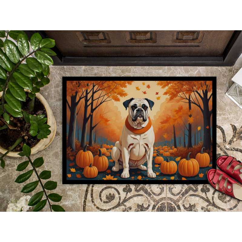 Tapis d'intérieur ou d'extérieur blanc Boxer, L 18 po x L 27 po