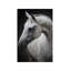 Maggie by Avishai Avivi - Floater Frame Rectangle Print on Canvas-1950392577-1943670764