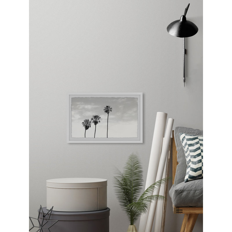 Palm Trees View - Single Picture Frame Print, 38cm H x 45cm W x 3.81cm D