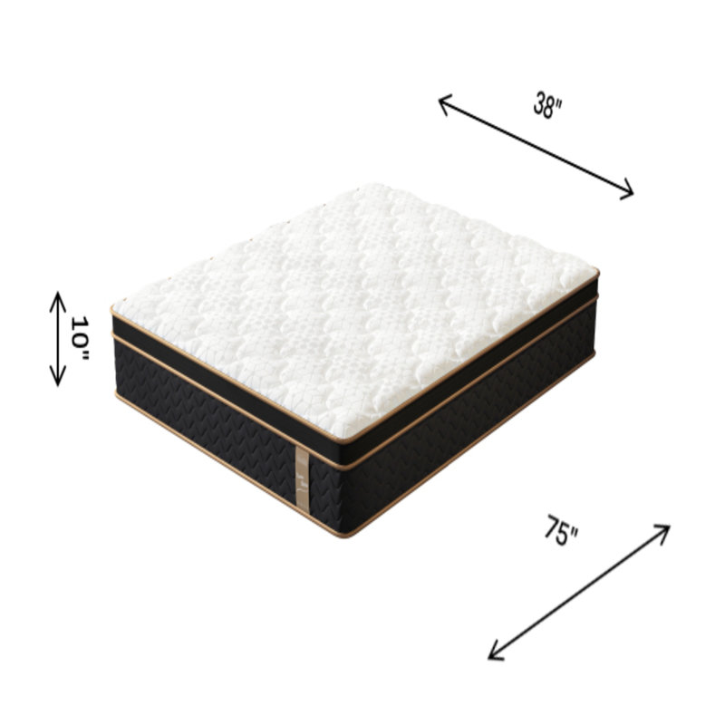  10 Inch Twin Plush Hybrid Mattress, Gel Memory Foam and Pocket Spring Bed for Lumbar Support, White and Black, Twin