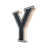 Y