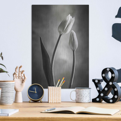 «Two Tone Tulips III» par Debra Van Swearingen