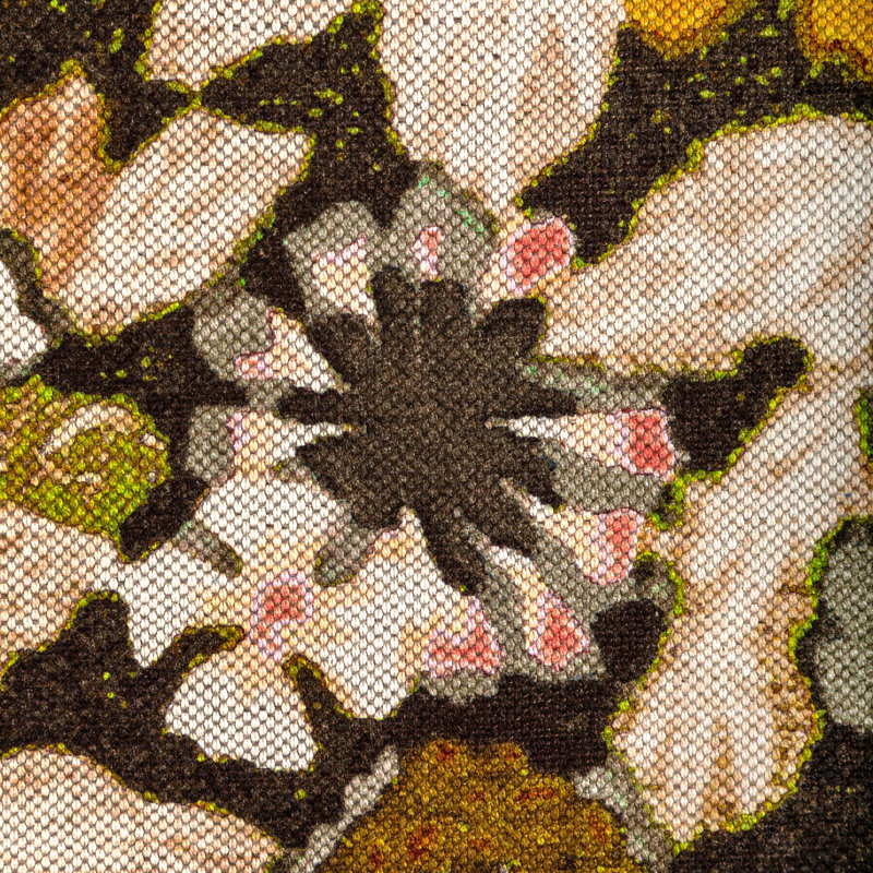 Rhapsody Arioso Print Fabic, Petal/Coin