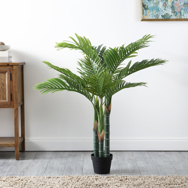 Plante de 49 po