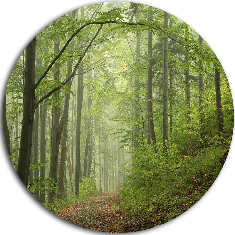 « early green automne forest », reproduction de photo sur métal, H 23 po x l 23 po x P 1 po
