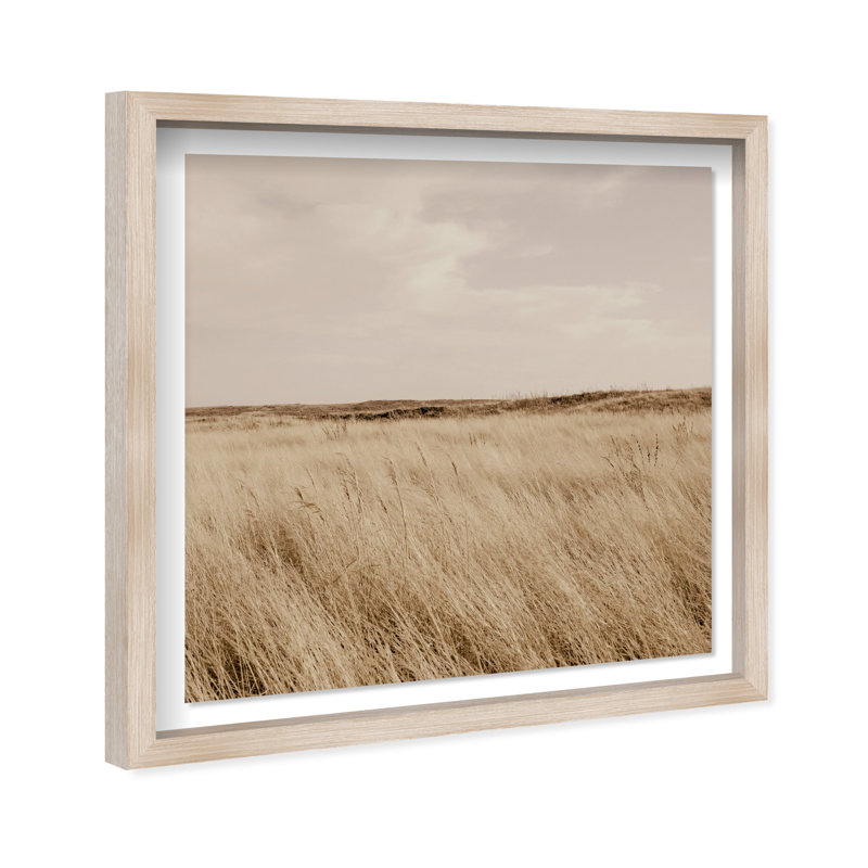 Golden Nature Print by Oliver Gal, 17.5" H x 17.5" W, Natural Oak Shadowbox