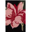 Tapis en laine / coton Kamath 403 touffeté à la main en noir / rose-328284263