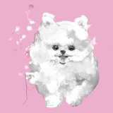 Vivid Puppies I Painting by Elle Youngstrom