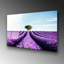 Boze Wall Decor
